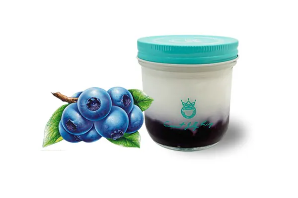 Blueberry Coconut Jelly at Coconut Jelly King 皇阿玛椰子冻，a Dessert Shop in Mesa